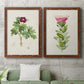 Set of two maple barnwood framed canvas prints depicting a coordinated art pair of pink flowering plant specimens rendered as vintage botanical plate illustrations above a sofa in a modern living room.