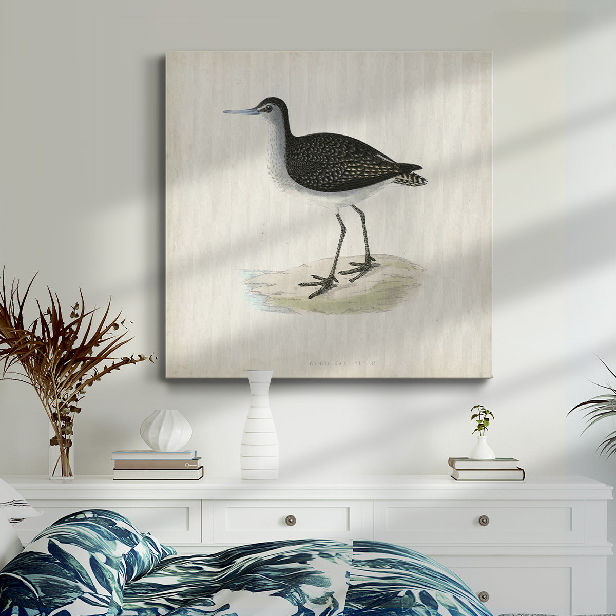 Morris Sandpipers VIII - Canvas Art Print