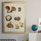 Mushroom Species I - Modern Framed Canvas Print