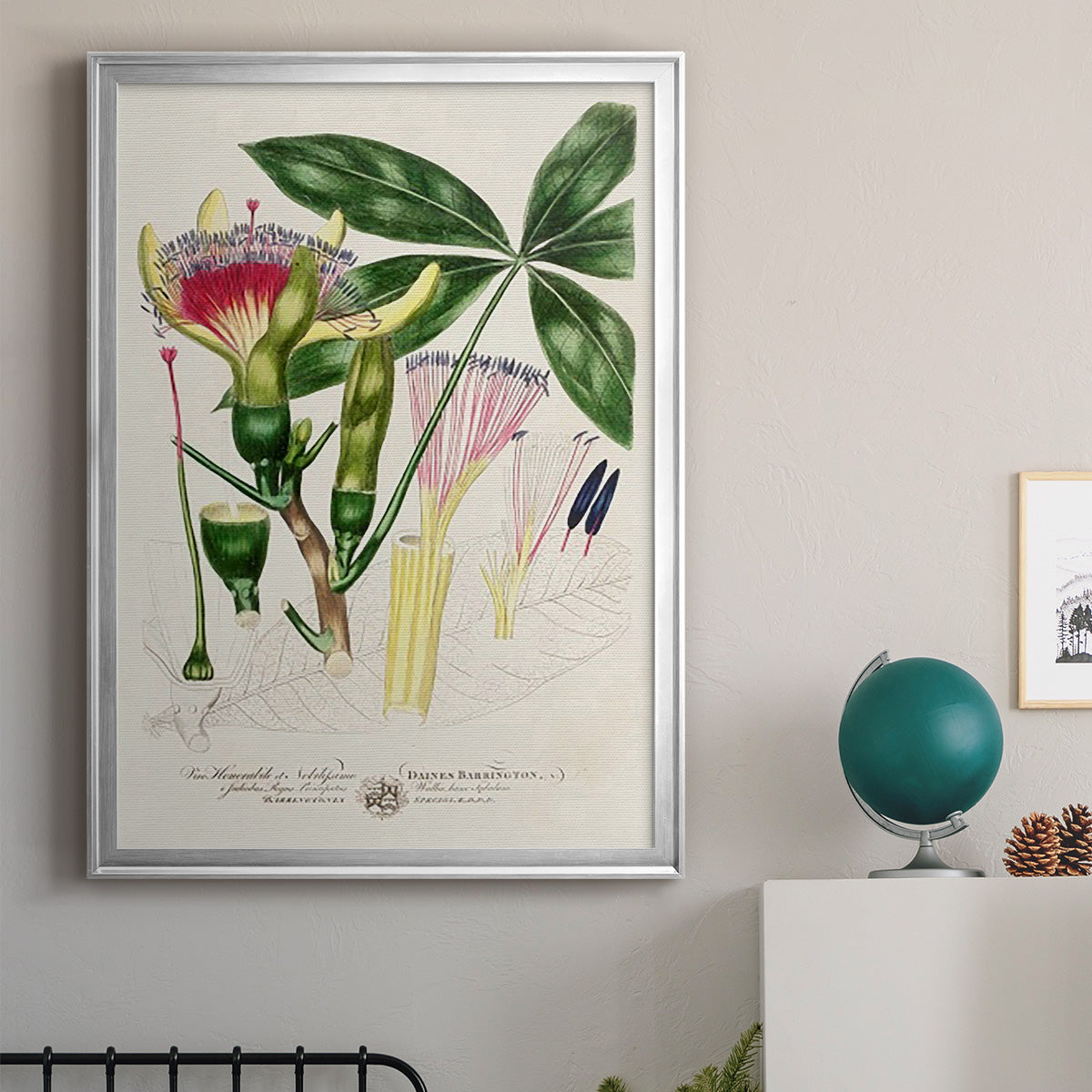 Imperial Tropical Botanical II - Modern Framed Canvas Print