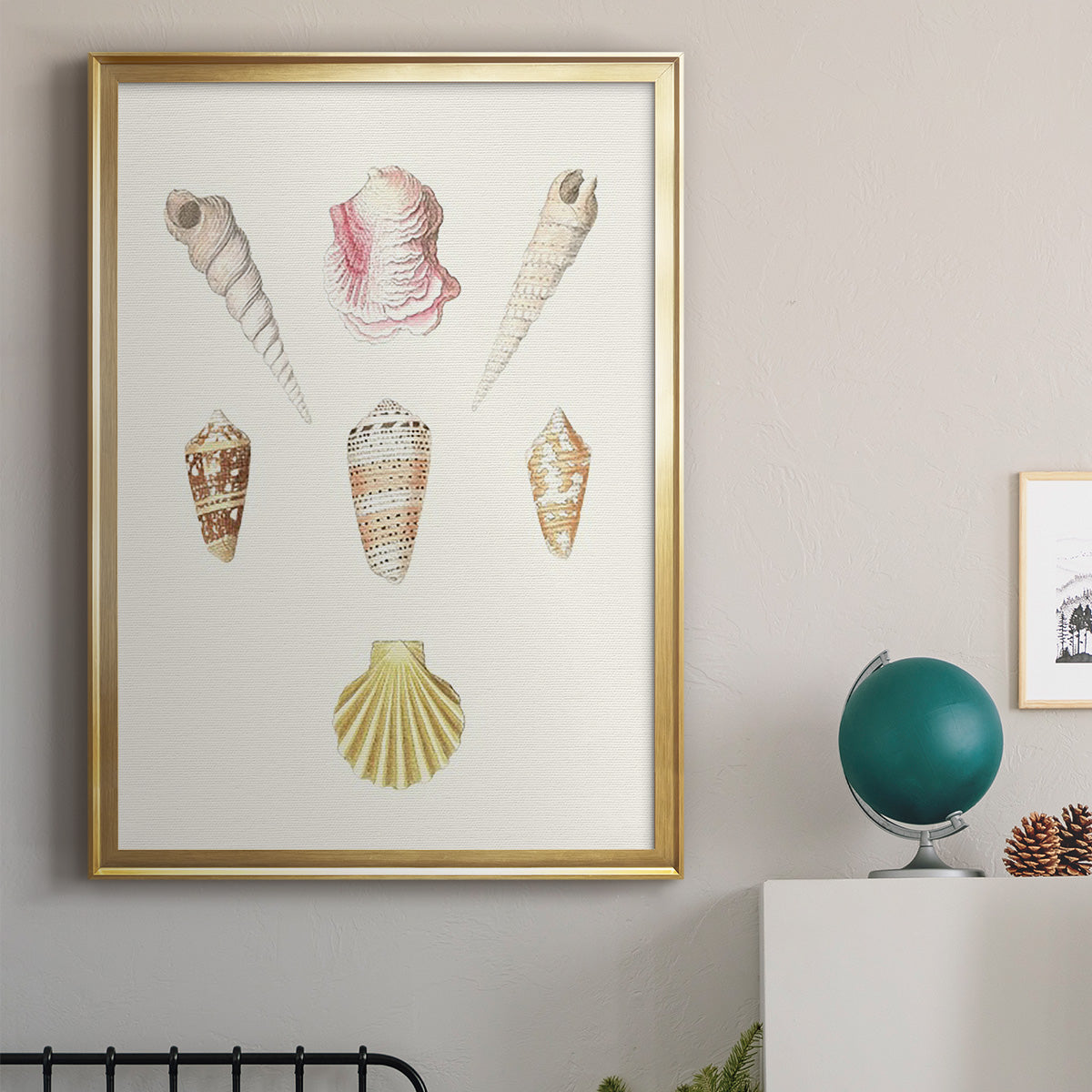 Pastel Knorr Shells I - Modern Framed Canvas Print