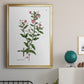 Rose Botanical III - Modern Framed Canvas Print