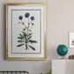 Soft Botanical II - Modern Framed Canvas Print
