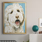 Labradoodle II - Modern Framed Canvas Print