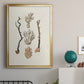 Knorr Shells & Coral V - Modern Framed Canvas Print