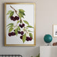 Watercolor Cherries - Modern Framed Canvas Print