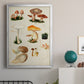 Mushroom Species IV - Modern Framed Canvas Print