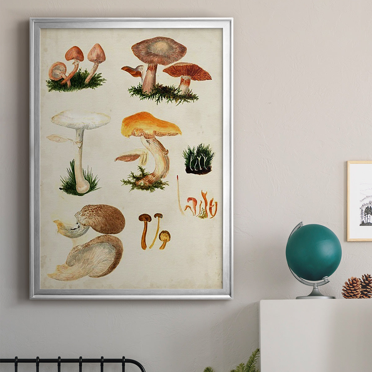 Mushroom Species IV - Modern Framed Canvas Print