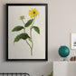 Flowers of the Seasons X - Modern Framed Canvas Print