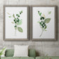 Sprigs in Green I   - Premium Framed Canvas 2 Piece Set - Ready to Hang