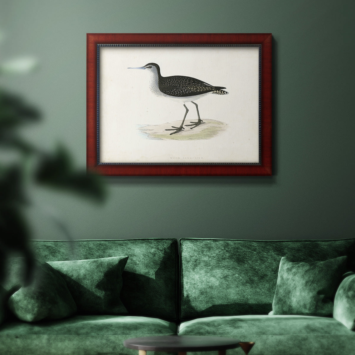 Morris Sandpipers VIII Premium Framed Canvas- Ready to Hang