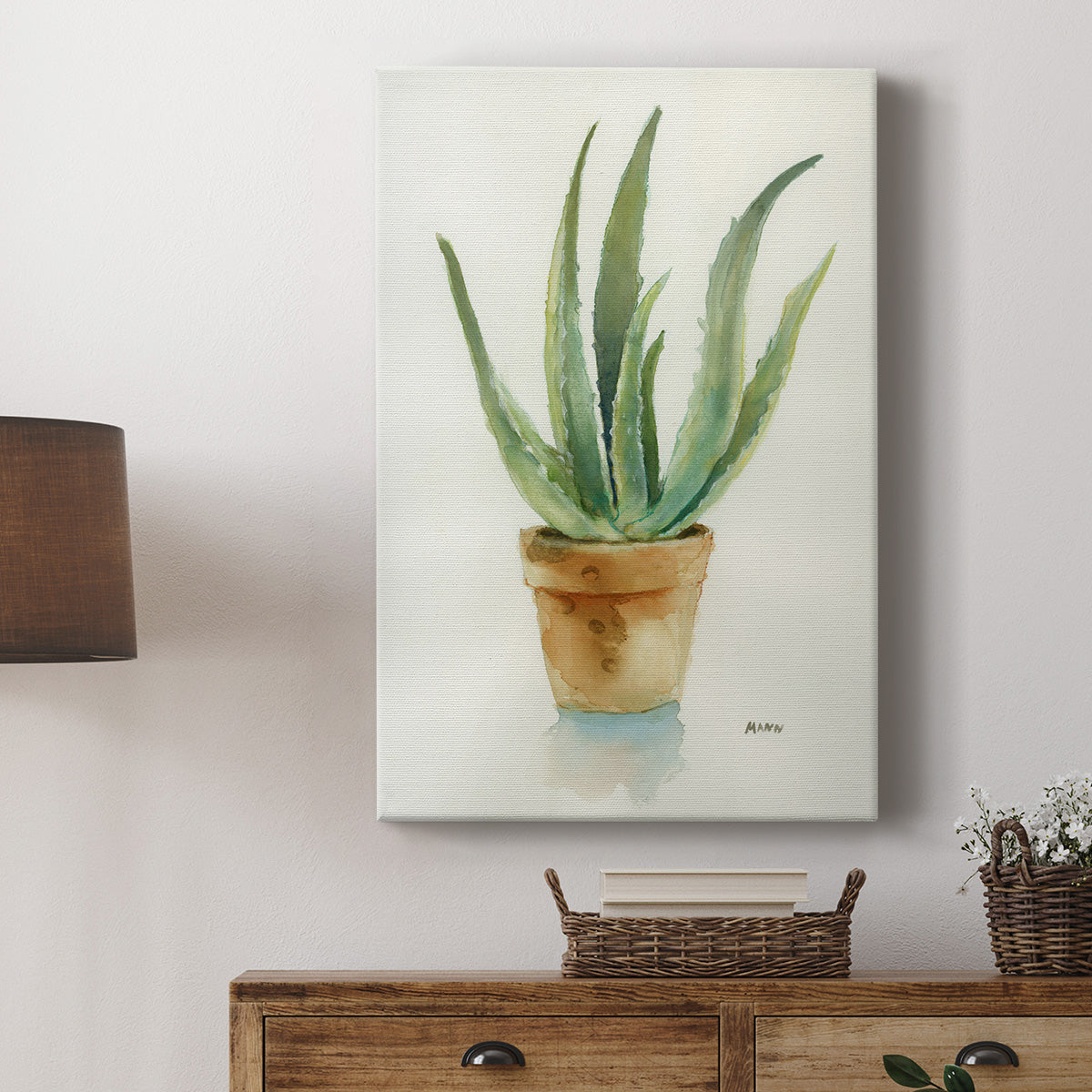 Succulent IV - Canvas Art Print