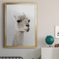 Soft Llama - Modern Framed Canvas Print