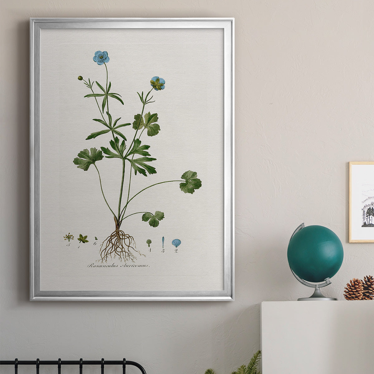 Buttercup Study - Modern Framed Canvas Print