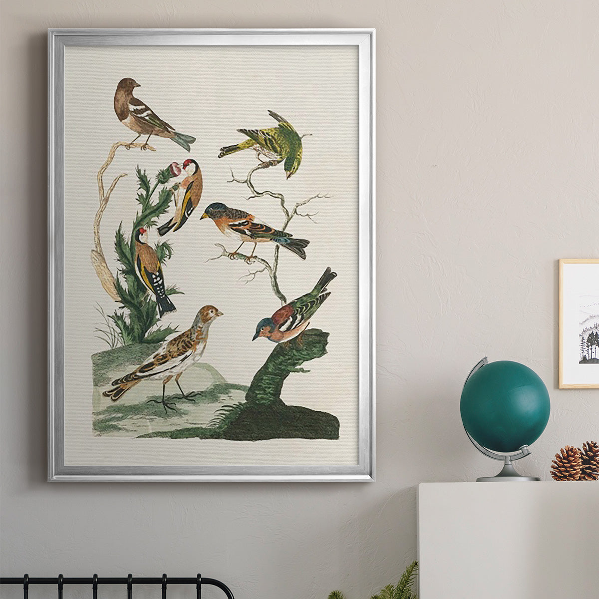 Antique Birds in Nature I - Modern Framed Canvas Print