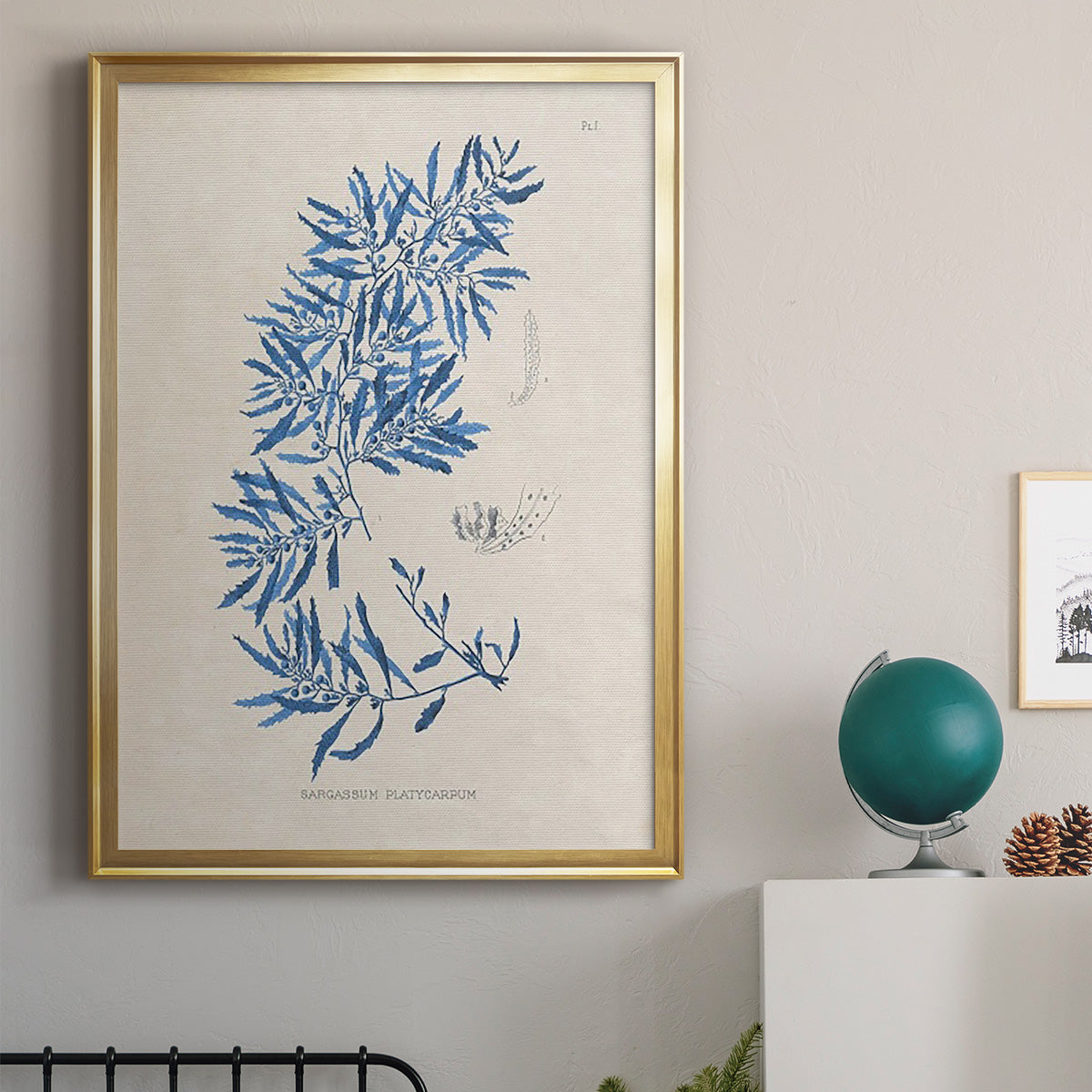 Blue Marine Algae III - Modern Framed Canvas Print