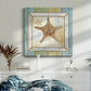 Sea Treasures XII - Canvas Art Print