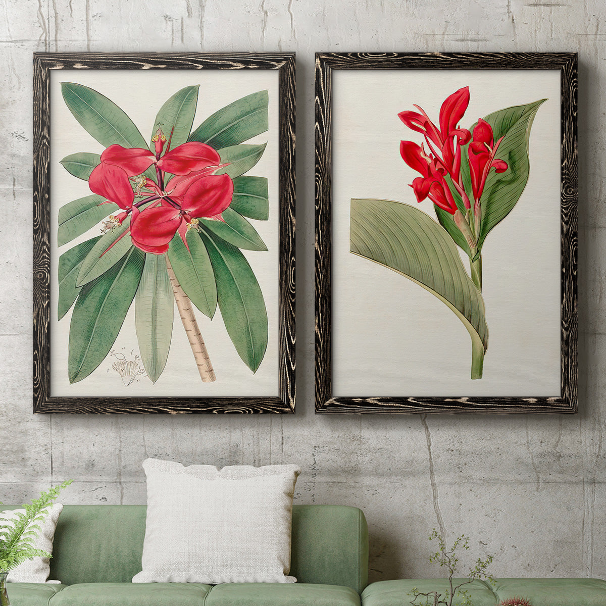 Set of two black barnwood framed canvas prints depicting a coordinated art pair of vivid tropical flowering plants rendered as antique botanical plate illustrations above a sofa in a modern living room.