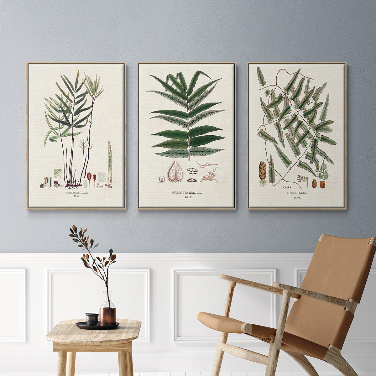 Botanical Society Ferns X - Framed Premium Gallery Wrapped Canvas L Frame 3 Piece Set - Ready to Hang