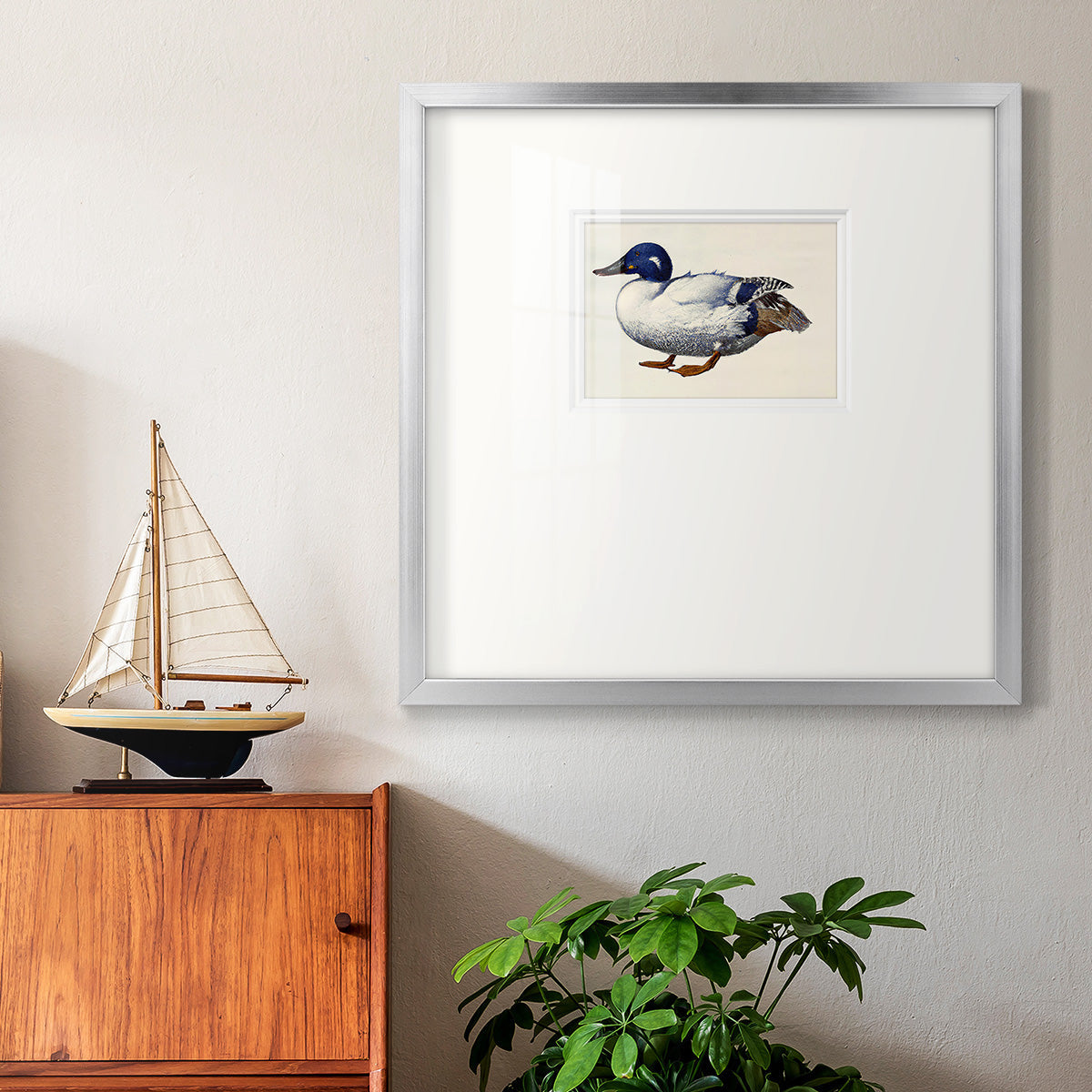 White and Blue Mallard Premium Framed Print Double Matboard