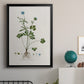 Buttercup Study - Modern Framed Canvas Print