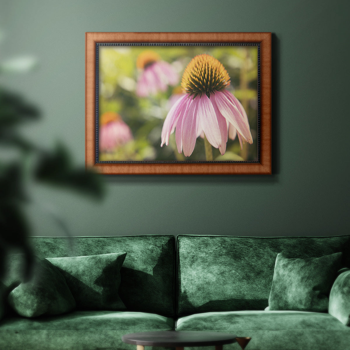 Echinacea Study I Premium Framed Canvas- Ready to Hang