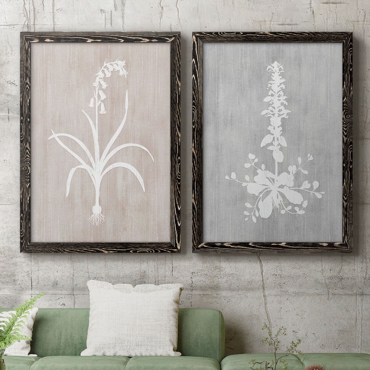 Set of two black barnwood framed canvas prints depicting a coordinated art pair of white botanical silhouettes on softly weathered neutral backgrounds rendered as rustic minimalist botanical prints above a sofa in a modern living room.