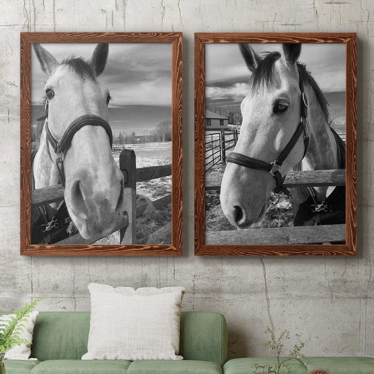 Set of two maple barnwood framed canvas prints depicting a coordinated art pair of black-and-white close-up portraits of horses at fences rendered as modern equestrian photography above a sofa in a modern living room.