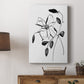 Wild Clematis II Premium Gallery Wrapped Canvas - Ready to Hang