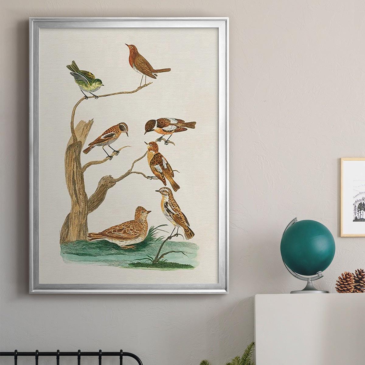 Antique Birds in Nature III - Modern Framed Canvas Print