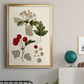 Leaves & Berries III - Modern Framed Canvas Print