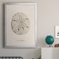 Shore Treasure Study III - Modern Framed Canvas Print
