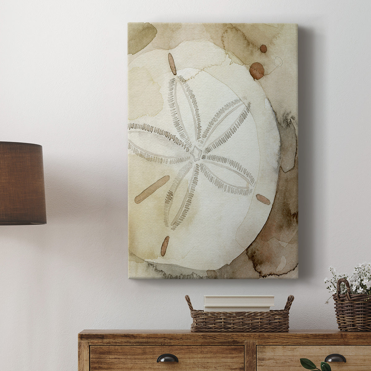 Dry Sand Dollar I Premium Gallery Wrapped Canvas - Ready to Hang