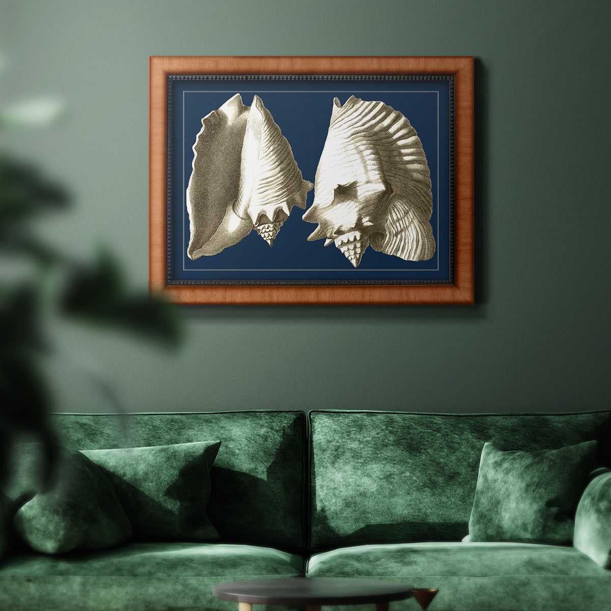 Conch Shells on Navy I Premium Framed Canvas- Ready to Hang