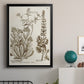 Sepia Botanical Journal IV - Modern Framed Canvas Print