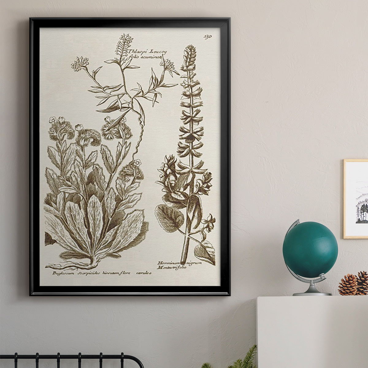 Sepia Botanical Journal IV - Modern Framed Canvas Print