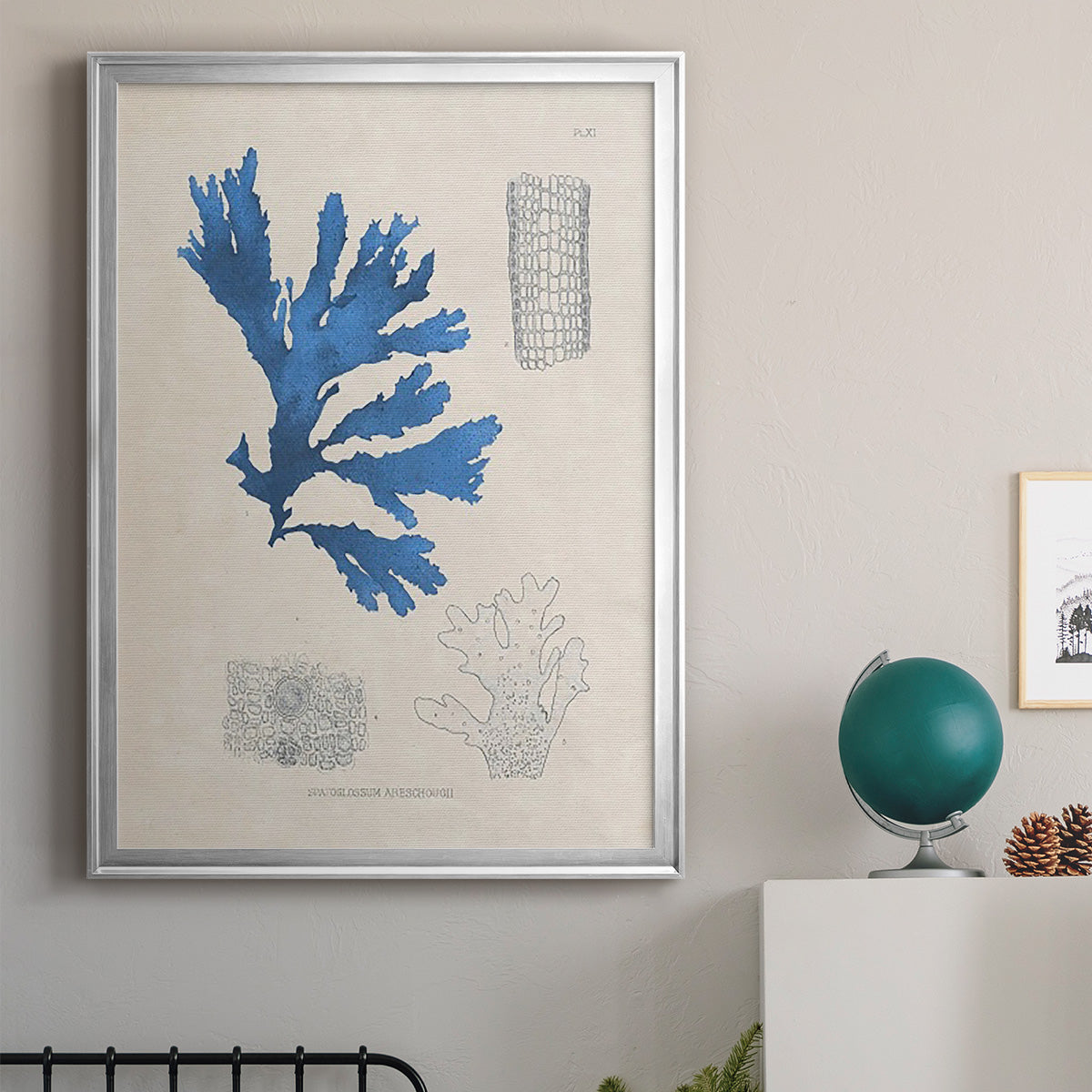 Blue Marine Algae VIII - Modern Framed Canvas Print