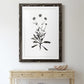 Inky Botanical I - Premium Framed Print - Distressed Barnwood Frame - Ready to Hang