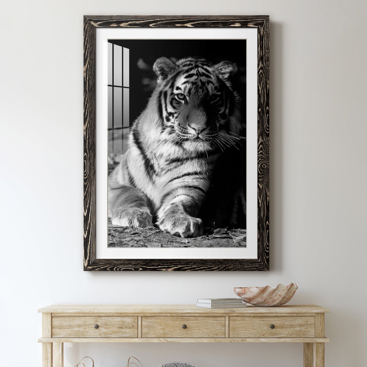 Tiger Repose - Premium Framed Print - Distressed Barnwood Frame - Ready to Hang