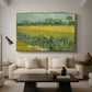 Field with Irises near Arles, 1888 - Floater Framed Canvas Print