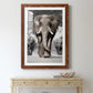 Botswana Patriarch - Premium Framed Print - Distressed Barnwood Frame - Ready to Hang