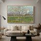 Orchard in Blossom (Plum Trees), 1888 - Floater Framed Canvas Print