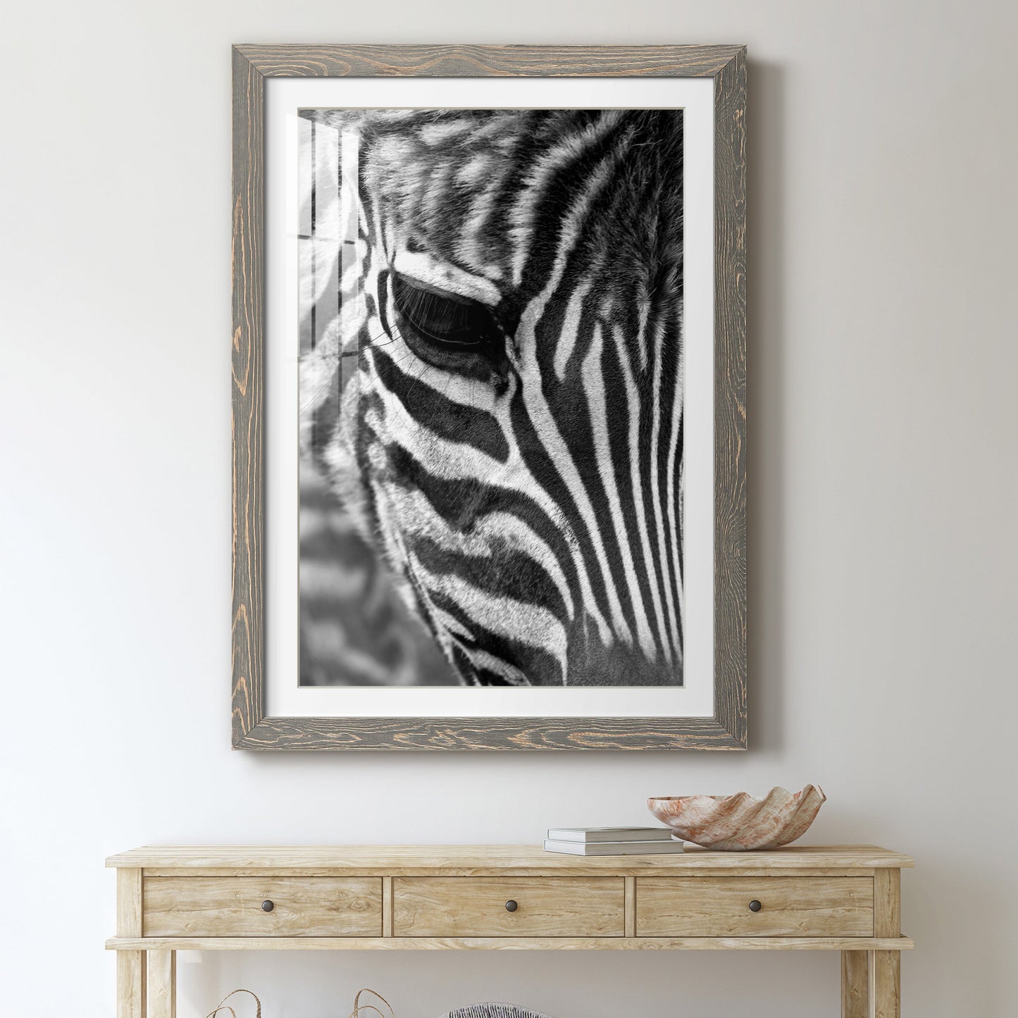 Zebra Colt - Premium Framed Print - Distressed Barnwood Frame - Ready to Hang