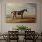 Canvas art print featuring a racehorse standing near coastal landscape with distant water, showcased as a statement wall artwork