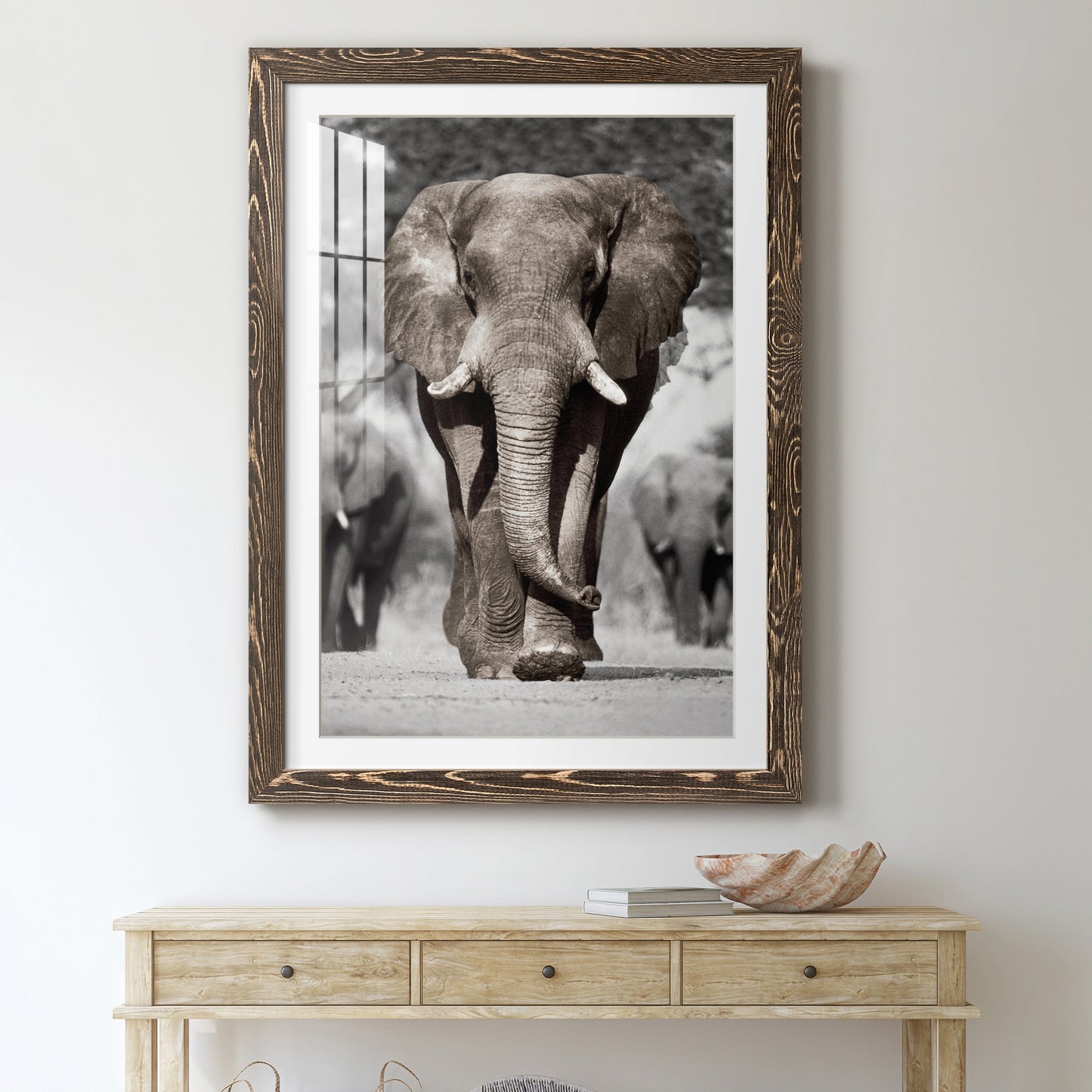 Botswana Patriarch - Premium Framed Print - Distressed Barnwood Frame - Ready to Hang