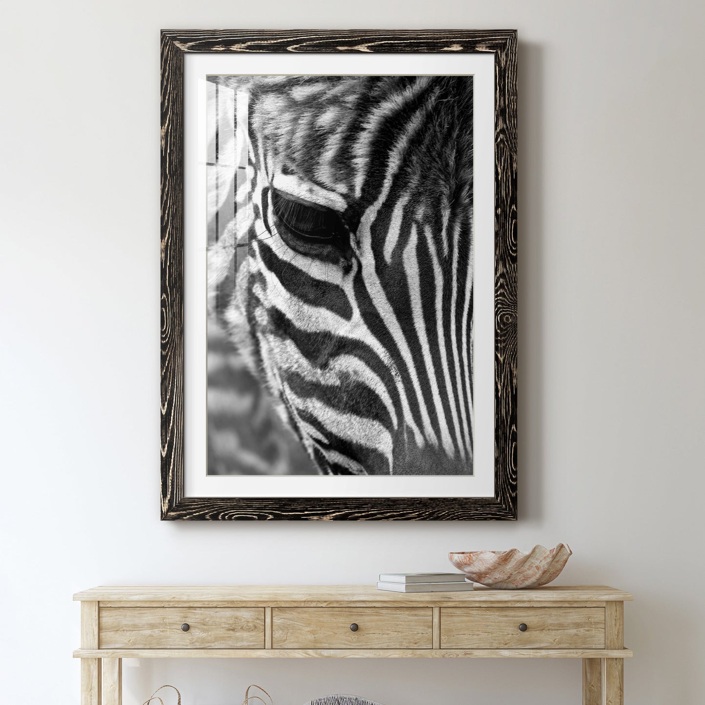 Zebra Colt - Premium Framed Print - Distressed Barnwood Frame - Ready to Hang