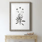 Inky Botanical I - Premium Framed Print - Distressed Barnwood Frame - Ready to Hang