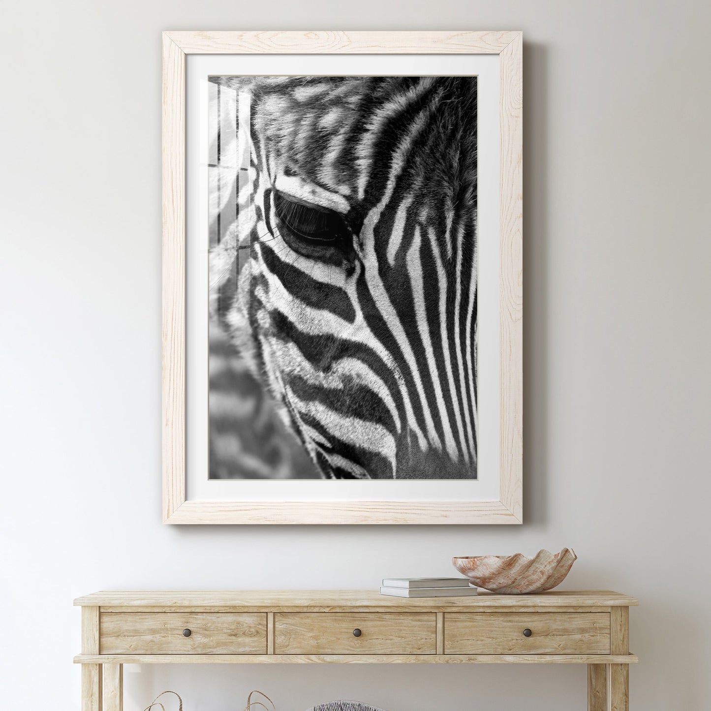 Zebra Colt - Premium Framed Print - Distressed Barnwood Frame - Ready to Hang