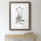 Inky Botanical I - Premium Framed Print - Distressed Barnwood Frame - Ready to Hang