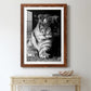 Tiger Repose - Premium Framed Print - Distressed Barnwood Frame - Ready to Hang